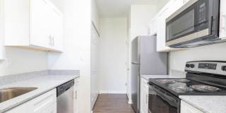 Steeplechase at Shiloh Crossing Gallery 1