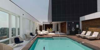 Pierce Boston Gallery 21