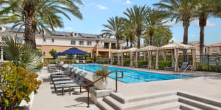 Homecoming at The Preserve Gallery 2