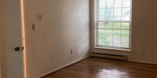 University Park Gallery 300