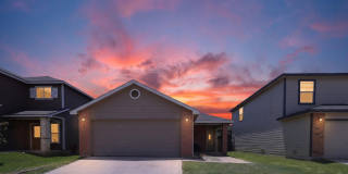 119 Quince Flower Gallery 1