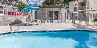 Ocean Vista Gallery 13