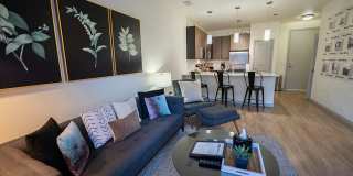 Line 28 at LoHi Apartments Gallery 22