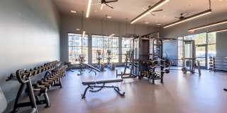 Taryn at 401 Gallery 20