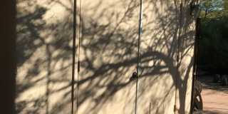 Central Furnished Guest House Gallery 16