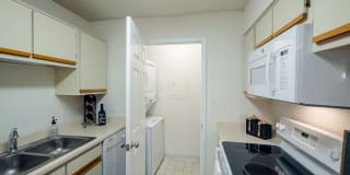 The Pointe Gallery 43