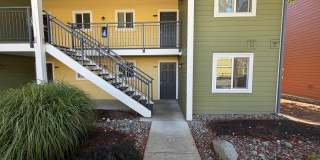 Bellevue/Factoria 2bd 1bath Condo for Rent! Gallery 1