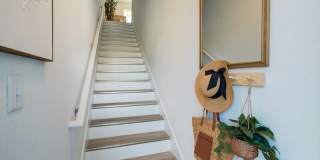 Welcome Canary Gallery 5