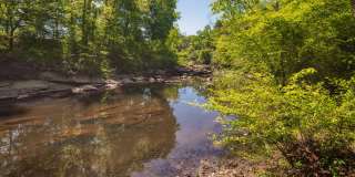 Falling Creek Gallery 25