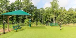 Dream Asheville Exchange Gallery 41