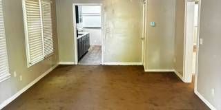537 Alder Street . Gallery 7
