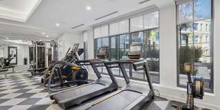 Society at Laurens Gallery 19