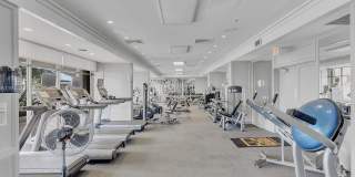 11 Island Ave Gallery 60