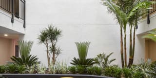 The Charlie Mar Vista Gallery 39