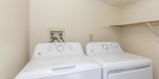 Palm Court Apartment Homes Gallery 56