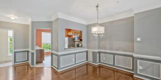 1815 SPANISH OAK Lane Gallery 12