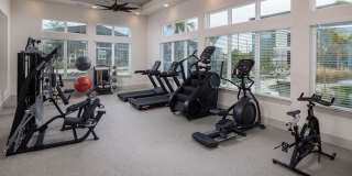 Prose Lakeside Gallery 8