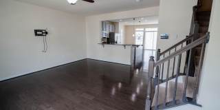 5004 FOREST PINES Drive Gallery 10