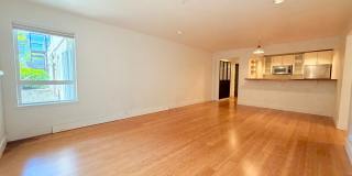 Spacious Capitol Hill Bedroom w/ Private Patio - Two Parking Spaces Included! $3800 AVAILABLE NOW! Gallery 5