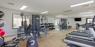 Autumn Creek Gallery 3