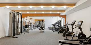 Esox House Gallery 58