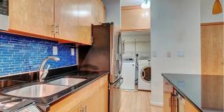 520 West Olney Road unit 3 520 West Olney Road unit 3 Gallery 1