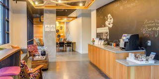 Storyline Gallery 4