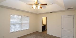6361 Parakeet Trl Gallery 14