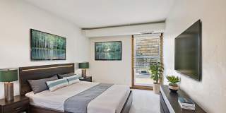 Wayzata Woods Gallery 2