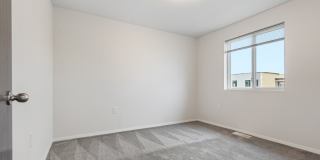 Lux North Lux North Gallery 36