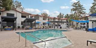 Vetra Chandler Gallery 11