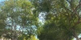 133 S Crescent Dr Gallery 2