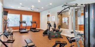 Copper Cove Gallery 18