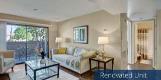 Castlepark Gallery 1