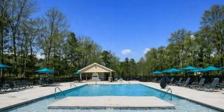 Pine Reserve Apartments Gallery 6