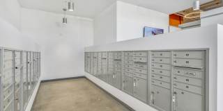 Koz at the Dome Gallery 17