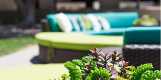 Scottsdale 59 Gallery 22