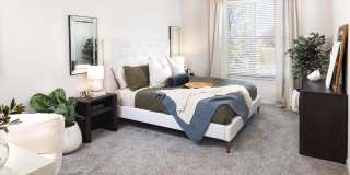 Windsor West Plano Gallery 16