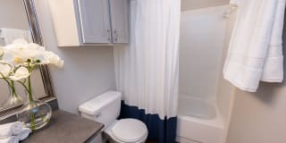 Royal Palms Gallery 11