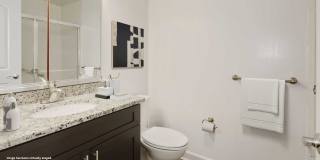 Annen Woods Annen Woods Gallery 10