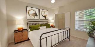 Austin City Lights Gallery 7