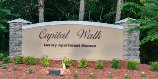 Capital Walk Gallery 46