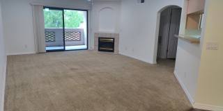 Biltmore / Arcadia Lite - 32nd St & Camelback Gallery 19