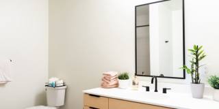 Zenith DCHS Gallery 6