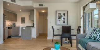 Modern 2BD+2BA Allston AUG-SEPT Gallery 4