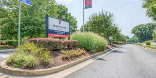 Hopkins Point Gallery 27