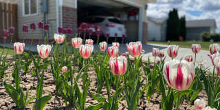 3 Bed - 2.5 Bath, Beautiful Home in Ogden - Fully Fenced Yard! - Available on June 10th! Gallery 1