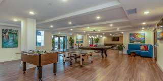 Vineyards Gallery 40