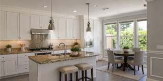 132 Island Coral Gallery 4