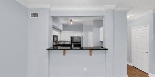 204 East South Street#1055 Gallery 11